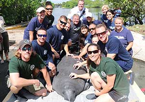 Wild animal rescue brevard county