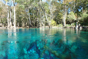 Kayaking Cypress Spring on Holmes Creek, Vernon FL