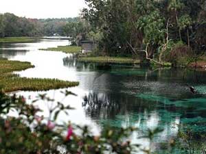 Industry should pay more to restore springs, advocacy group says