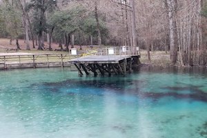 Gilchrist Blue Springs state park