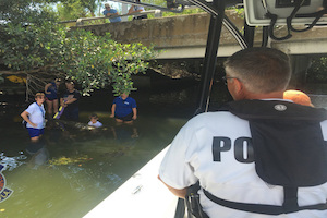 Sick manatee found near St. Armands Circle