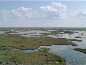 Florida's Environment, the Challenge of a Growing Population