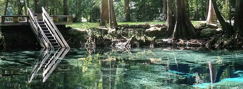 Curtis Whitwam Photography | Dogwood Springs