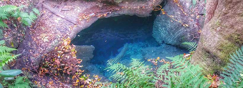Kirby Morgan Photography | Apopka Blue Sink Hole