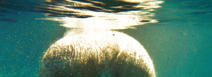 Kelly Del Valle Photography | Deep Sister