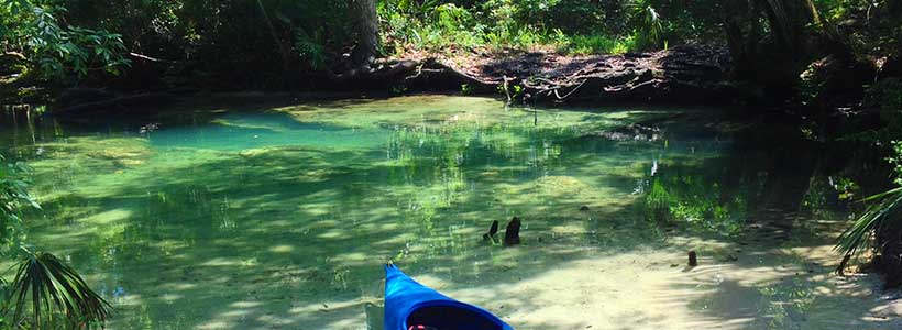 Have Steph, Will Travel | The Crack