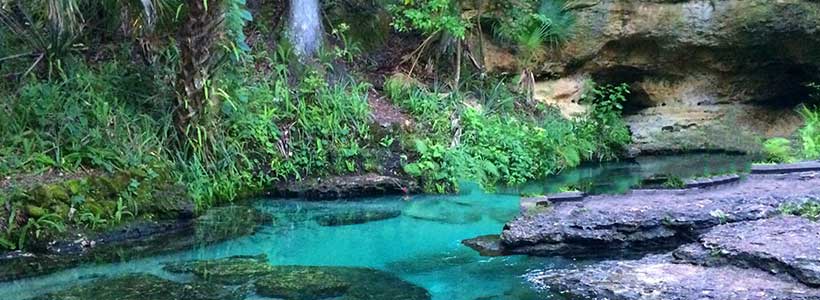 Have Steph, Will Travel | Rock Springs at Kelly Park