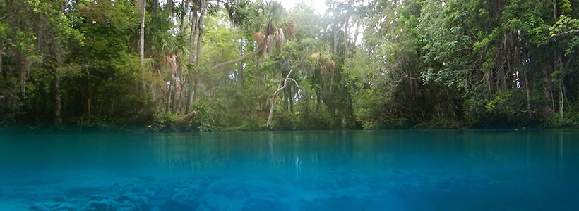 Joe Cruz Photography | Three Sisters Springs in Crystal River