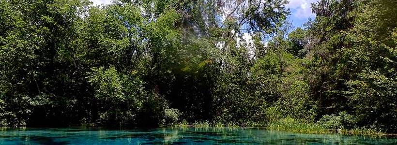 Joshua Birmingham | Great View