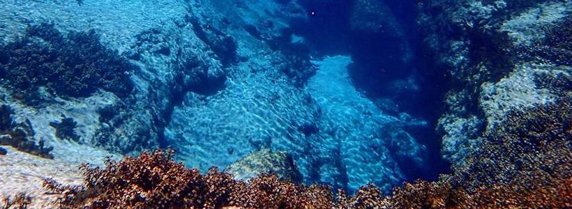 Joshua Birmingham | Deep Blue