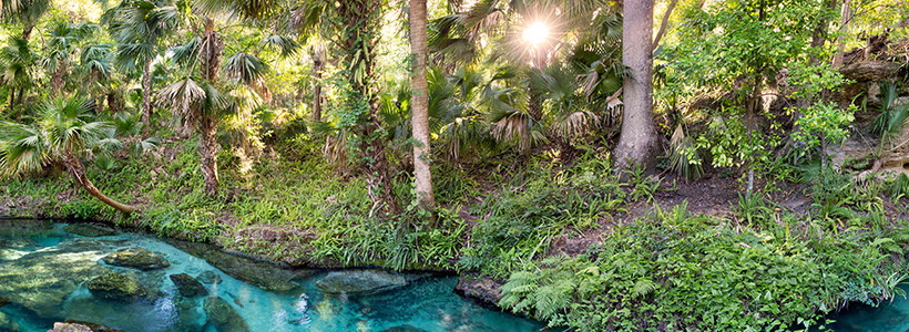 Florida Nature Photography | Panoramic view of Rock Springs