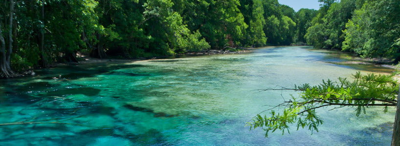 Florida Nature Photography | Blue Planet - Cypress Springs