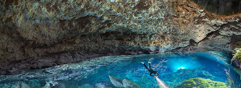 Florida Nature Photography | Eye of the Aquifer