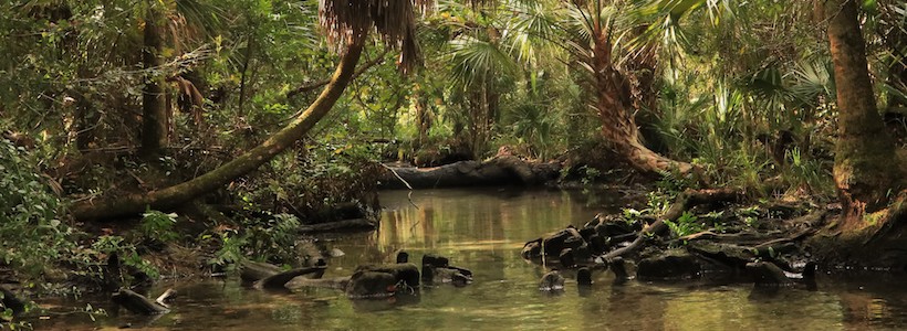 Linda Wilinski Photography | Floating with a great view