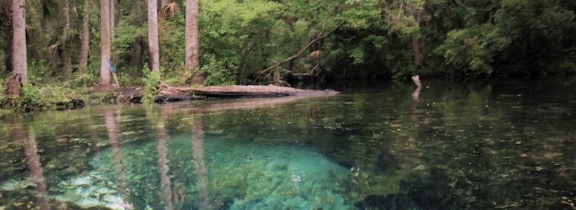 Linda Wilinski Photography | View going down