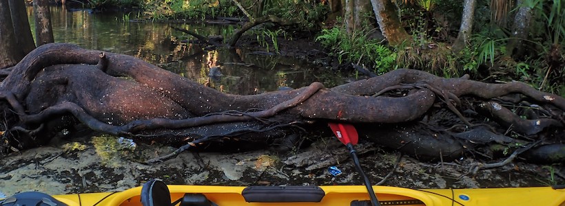 Linda Wilinski Photography | Ready for a Kayak trip