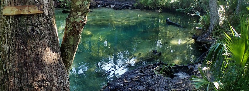 Linda Wilinski Photography | Rope swing anyone?