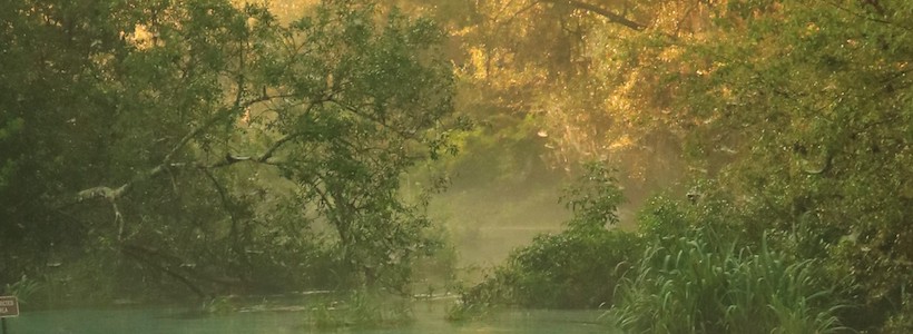 Linda Wilinski Photography | Morning Mist