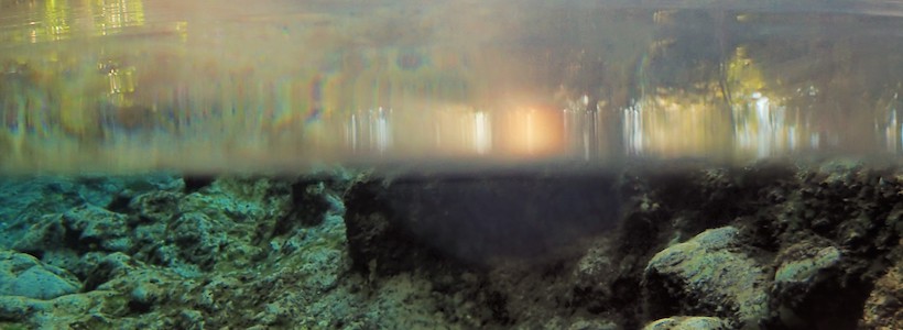 Linda Wilinski Photography | Middle morning