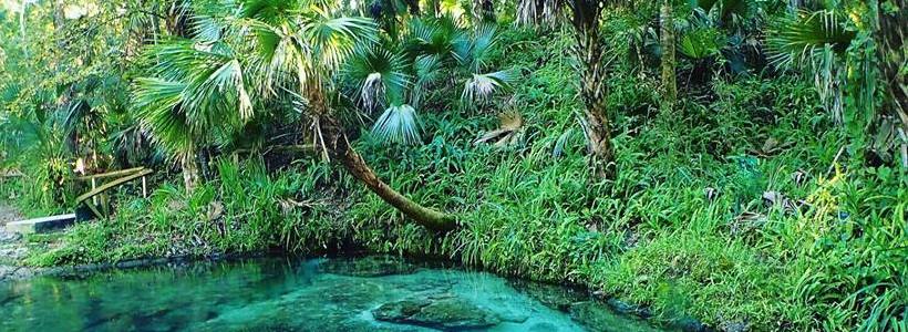 Linda Wilinski Photography | Clear view, great scenery