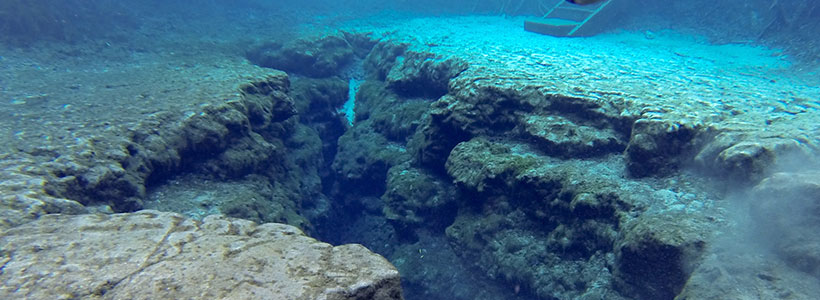 Amanda Mimms Photography | Little Devil at Ginnie Springs