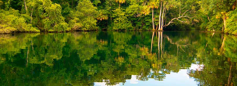 Robert La Follette Photography | Devil's Punch Bowl (Chassahowitzka River)