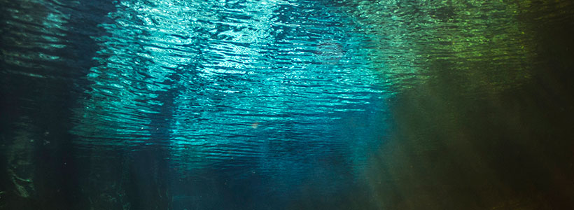 Outdoor FL Creations | Sante Fe River Blending with Ginnie Springs