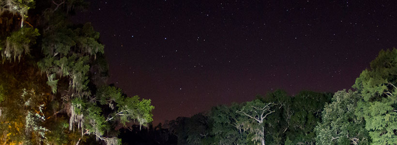 Outdoor FL Creations | Devil's Ear Spring under stary skies