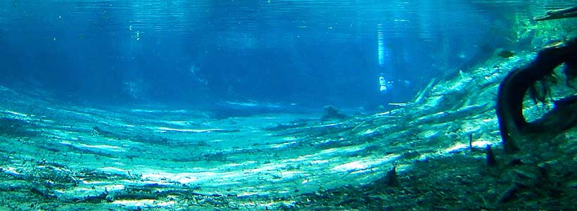 Joe Cruz Photography | Devil's Blue