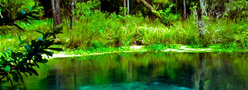 DMG Studios | Blue Hole Ichetucknee State Park 