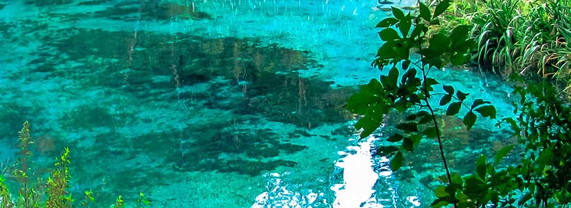 DMG Studios | The head spring at Ichetucknee State Park