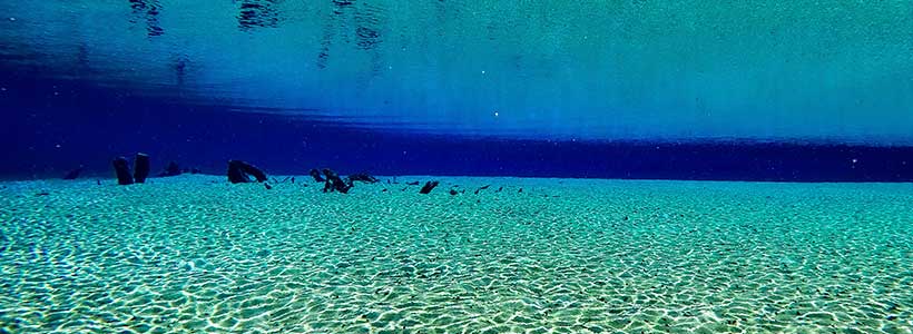 JonMonFish Imagery | Blue Giraffes