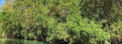 River View from Kayak