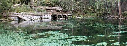 Swimming area at Fanning Spring