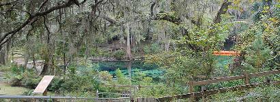 Fanning Spring as seen through the trees.