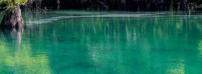 Green scenery with lots of water