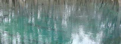 Manatee Springs State Park Turquoise Water