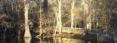 Late afternoon sunlight