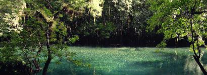 Manatee Springs Calm