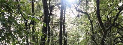 Walk on the boardwalk