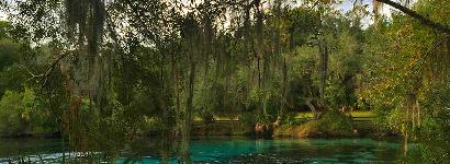 Silver Glen Springs view