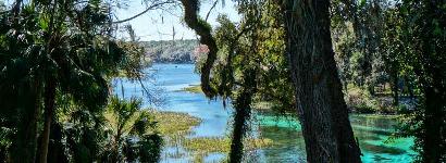 Silver Glen Through The Trees