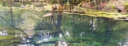 Peacock Springs Water View 1