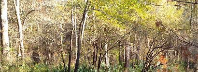 Getting ready for the dive