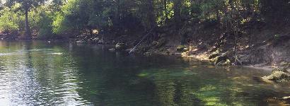 Divers at Troy Springs