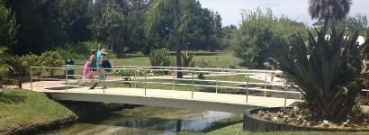 Water from the spring pool exits via this creek, which extends to the Myakka River