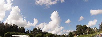 In the water at Warm Mineral Springs