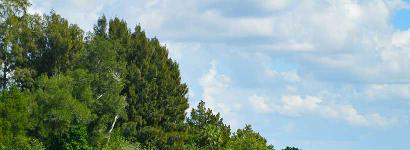 Boating Warm Mineral Springs