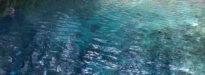 Clear Blue water of Madison Blue Springs