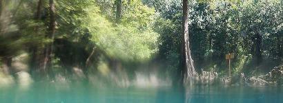 Over under at Madison Blue Spring